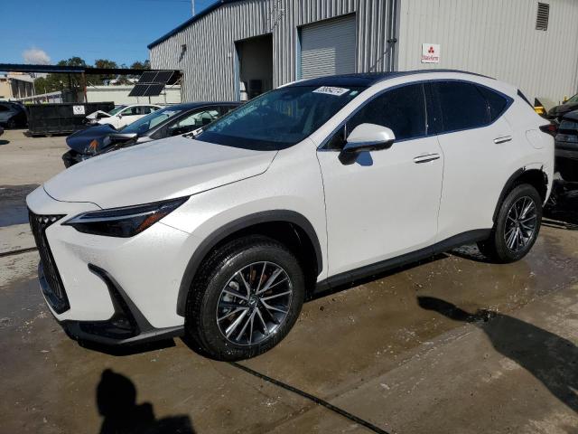 Obraz 2024 LEXUS NX 350H BASE 2024