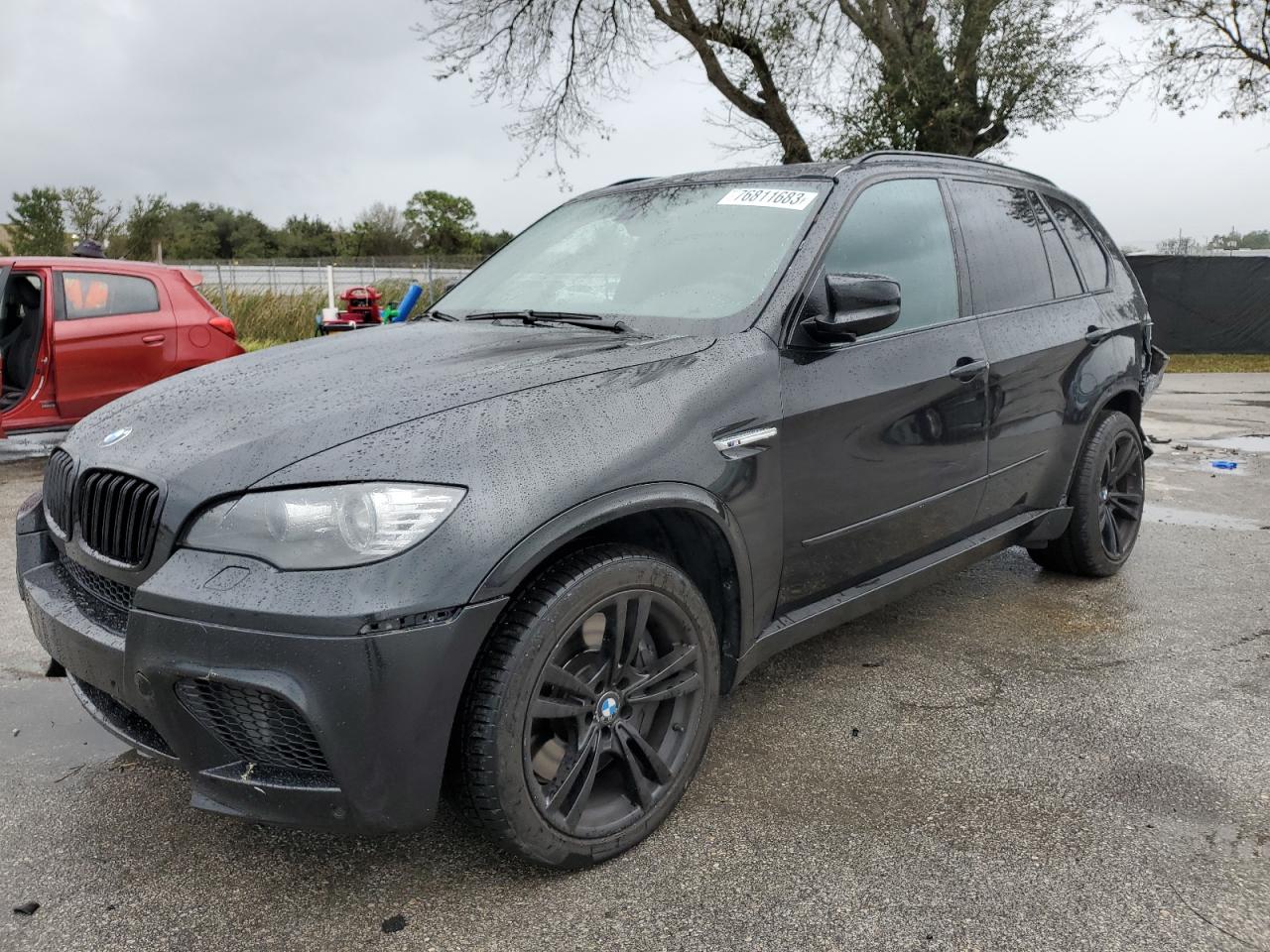 2011 BMW X5 M 2011 image