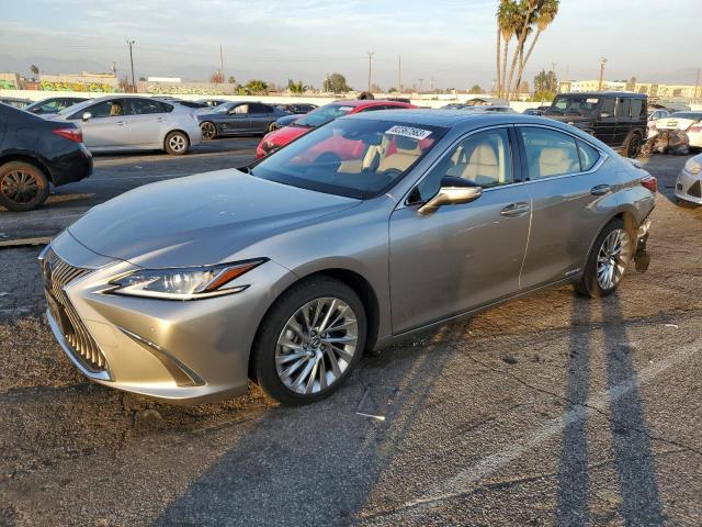 Obraz 2019 LEXUS ES 300H 2019