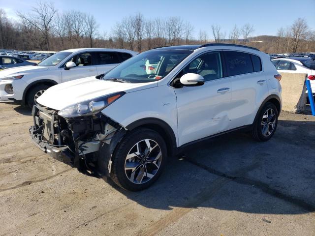Image 1 of 2020 KIA SPORTAGE EX 2020 with VIN KNDPNCAC2L7667819