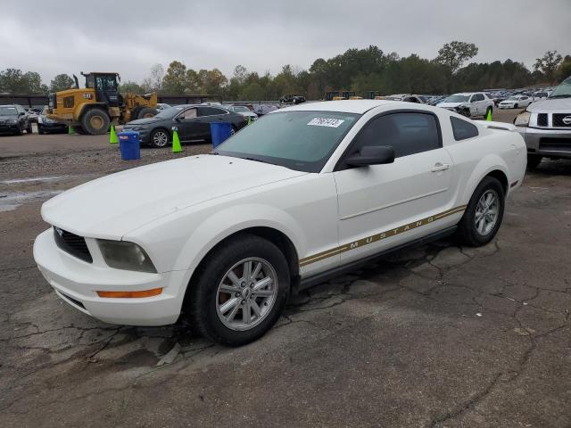 Image 1 of 2005 FORD MUSTANG  2005 with VIN 1ZVFT80N655215594
