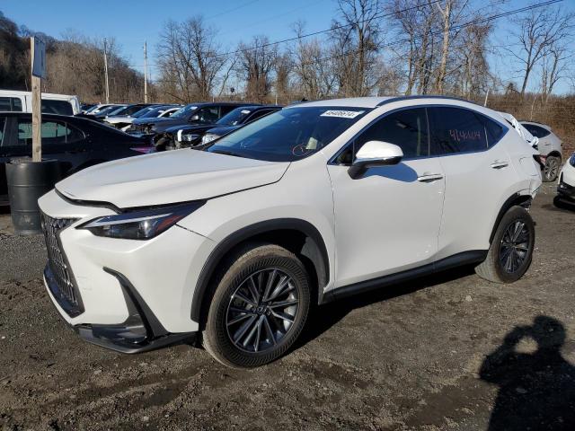 Изображение 2024 LEXUS NX 250 BASE 2024