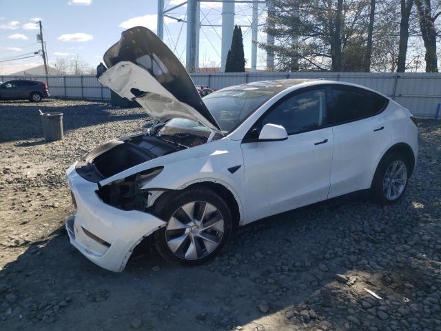 Obraz 2023 TESLA MODEL Y  2023