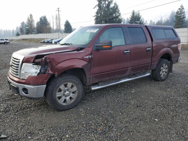 Obraz 1 z 2010 FORD F-150 SUPERCREW 2010 z VIN 1FTFW1EV8AFB93080