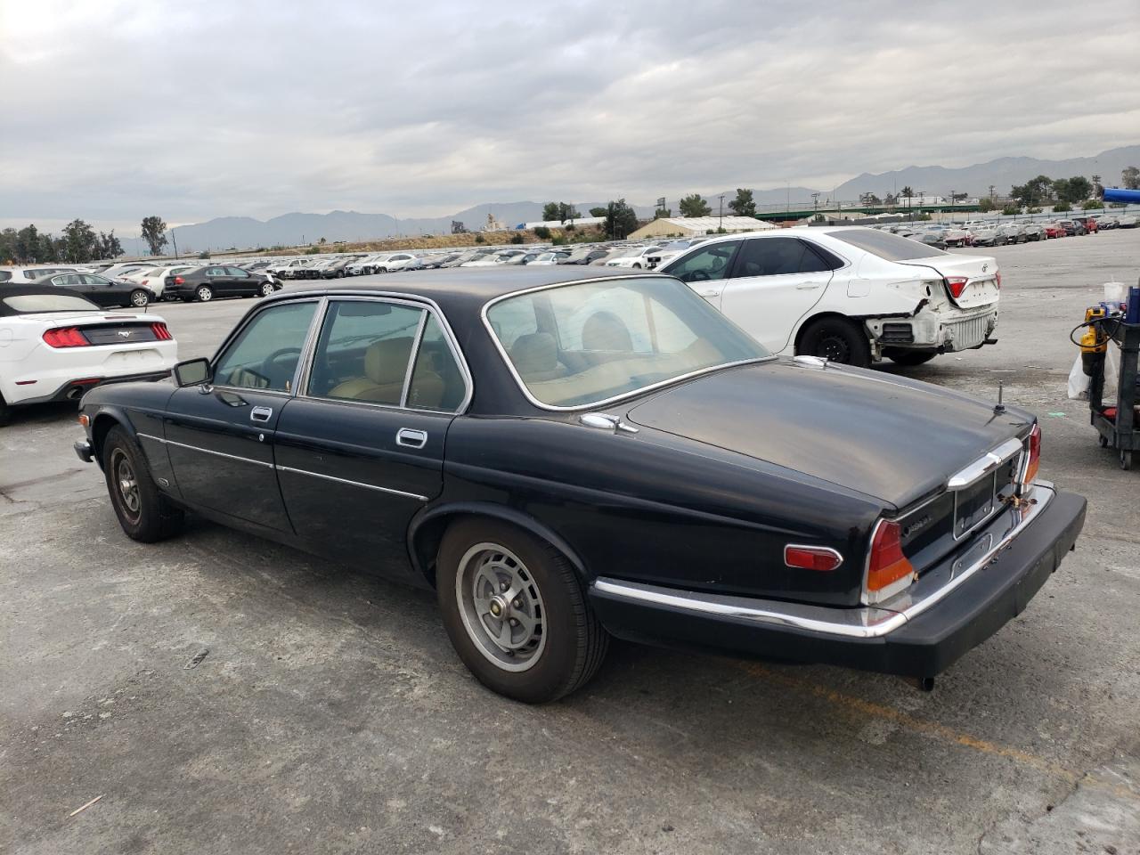 Obraz 2 z 1981 JAGUAR XJ6  1981 z VIN SAJAV1245BC321028