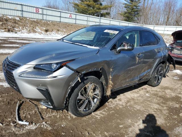 2020 LEXUS NX 300H 2020 image