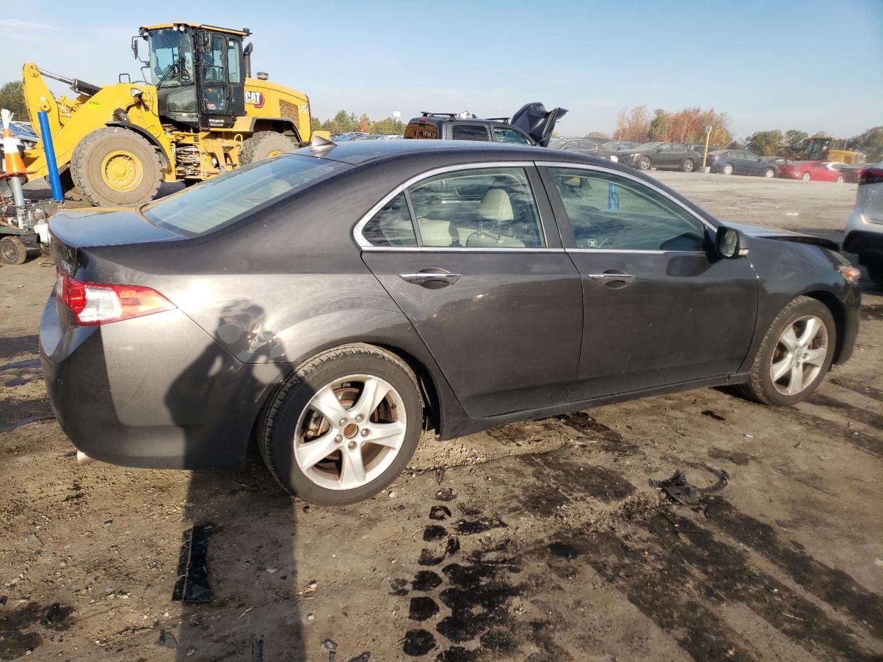 Image 3 of 2010 ACURA TSX  2010 with VIN JH4CU2F65AC010322