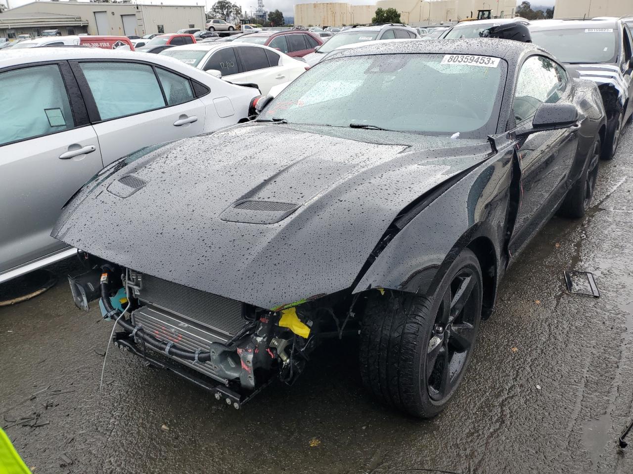 Obraz 2022 FORD MUSTANG  2022