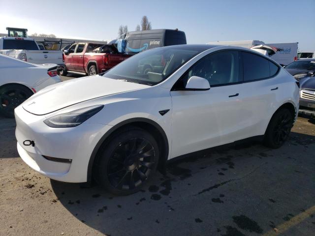 Obraz 2023 TESLA MODEL Y  2023