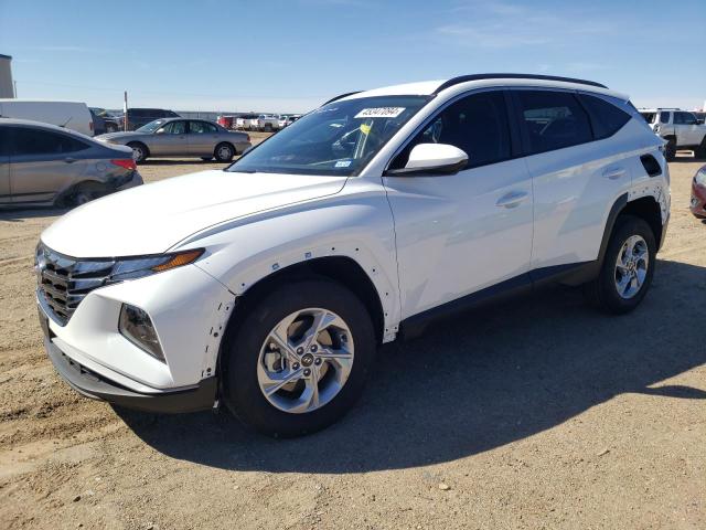 2024 HYUNDAI TUCSON SEL 2024 image
