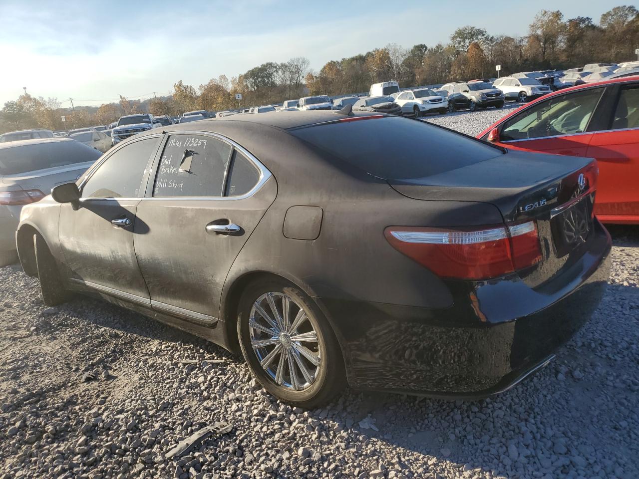 Image 2 of 2007 LEXUS LS 460 2007 with VIN JTHBL46F075022210