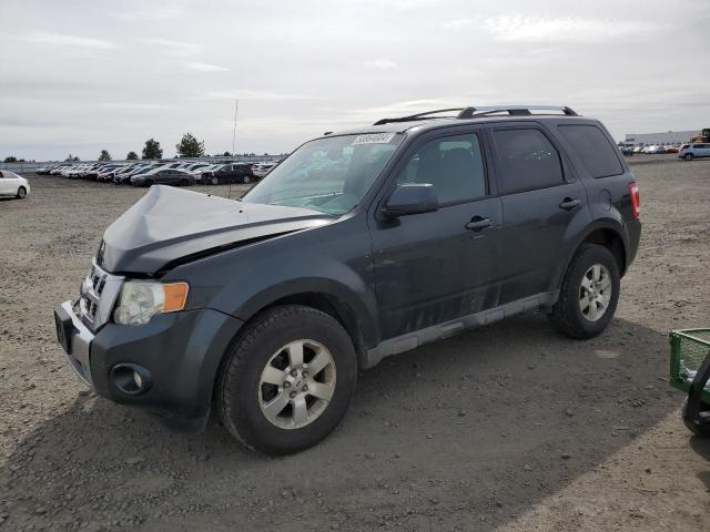 Obraz 2009 FORD ESCAPE LIMITED 2009