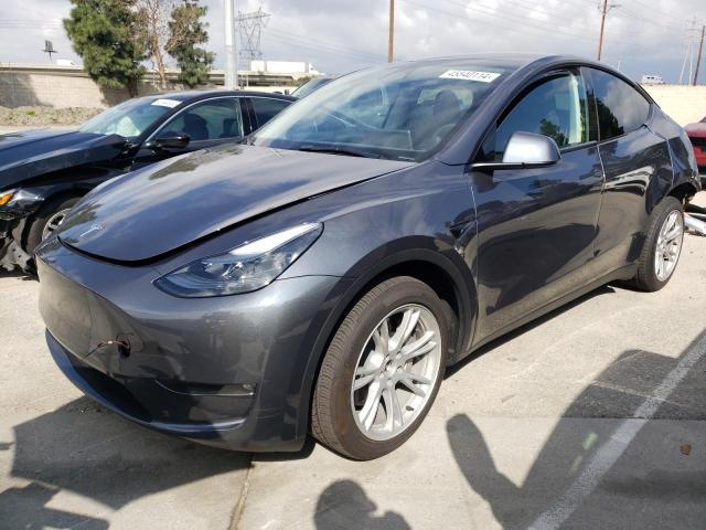 Obraz 2023 TESLA MODEL Y  2023