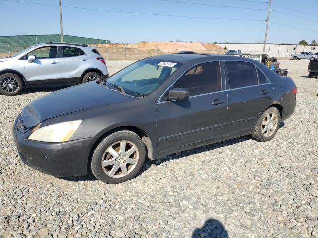 2005 HONDA ACCORD EX 2005 image