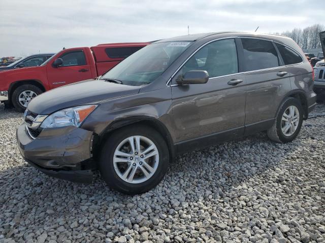 Obraz 2011 HONDA CR-V EXL 2011