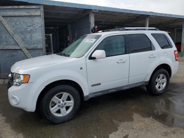 Obraz 2008 FORD ESCAPE HEV 2008