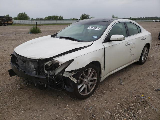 2009 NISSAN MAXIMA S 2009 image