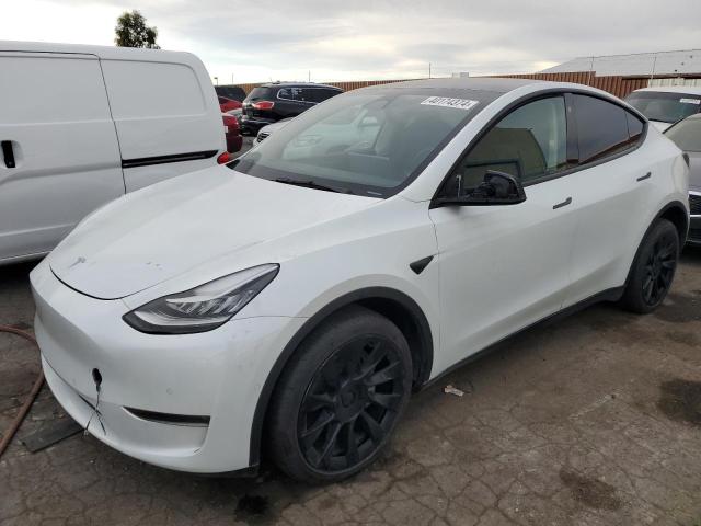 Obraz 2022 TESLA MODEL Y  2022