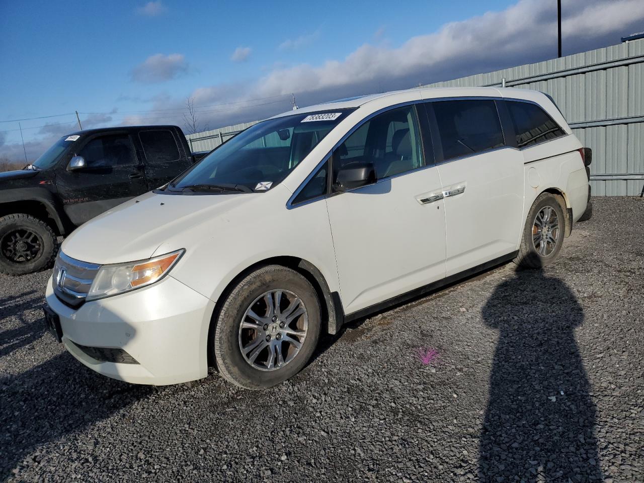 Honda Odyssey Exl 2012 image
