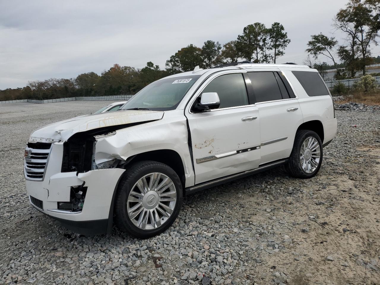2016 CADILLAC ESCALADE PLATINUM 2016 image