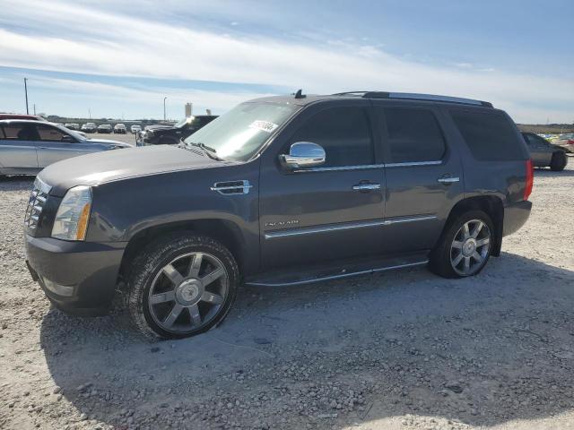 Изображение 1 2010 CADILLAC ESCALADE LUXURY 2010 с VIN 1GYUKBEF4AR214484