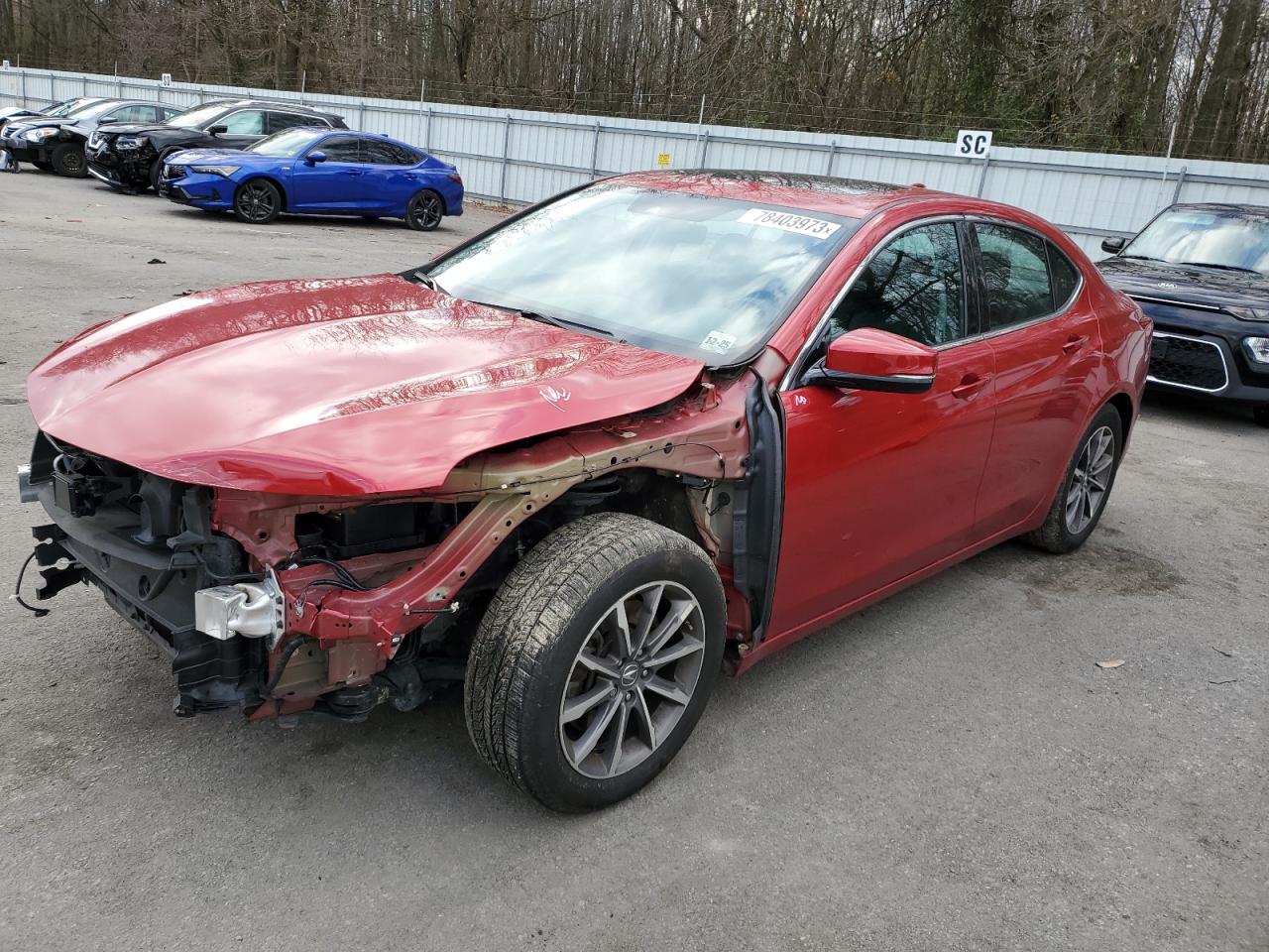 Obraz 2020 ACURA TLX  2020