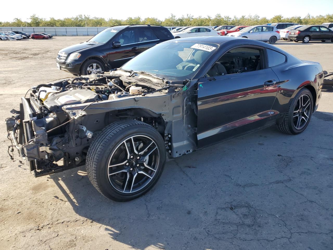 Obraz 2022 FORD MUSTANG  2022