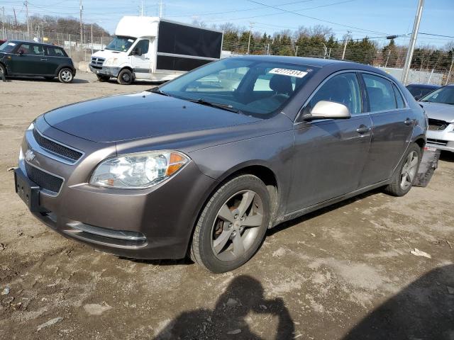 Obraz 2011 CHEVROLET MALIBU 1LT 2011