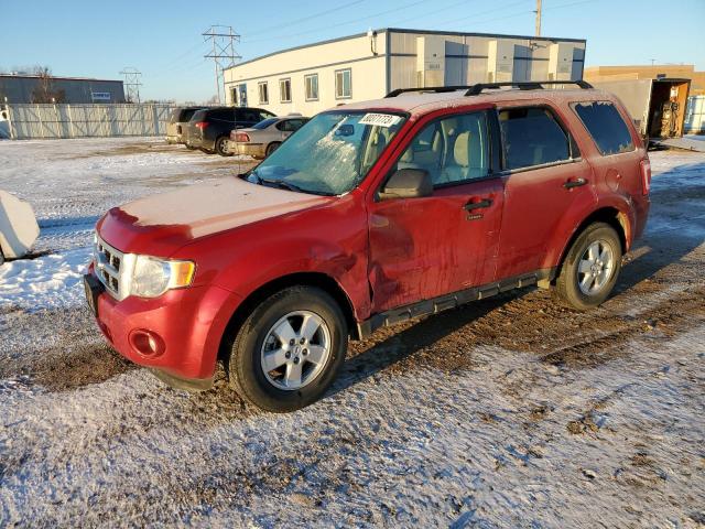 Obraz 2011 FORD ESCAPE XLT 2011