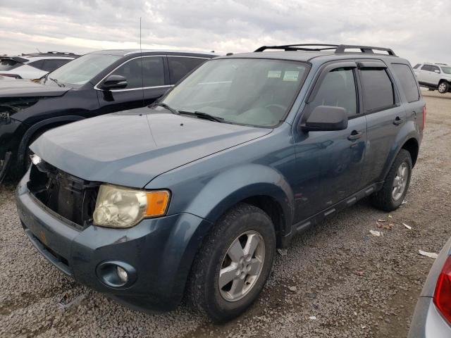 2010 FORD ESCAPE XLT 2010 image