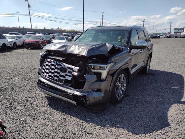Obraz 2024 TOYOTA SEQUOIA SR5 2024