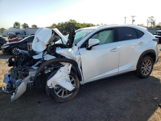 Image 1 of 2021 LEXUS NX 300H BASE 2021 with VIN JTJDJRDZ9M5011208