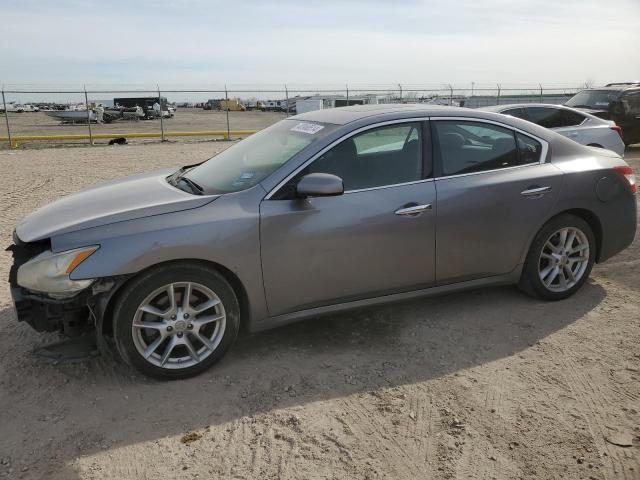 2009 NISSAN MAXIMA S 2009 image