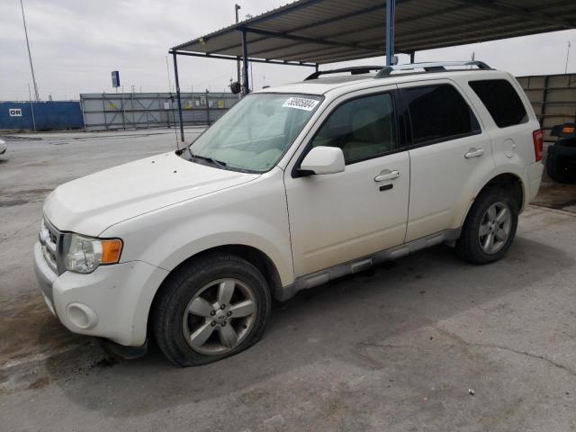 Obraz 2009 FORD ESCAPE LIMITED 2009