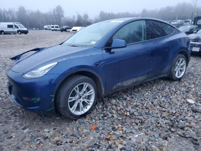 Obraz 2023 TESLA MODEL Y  2023