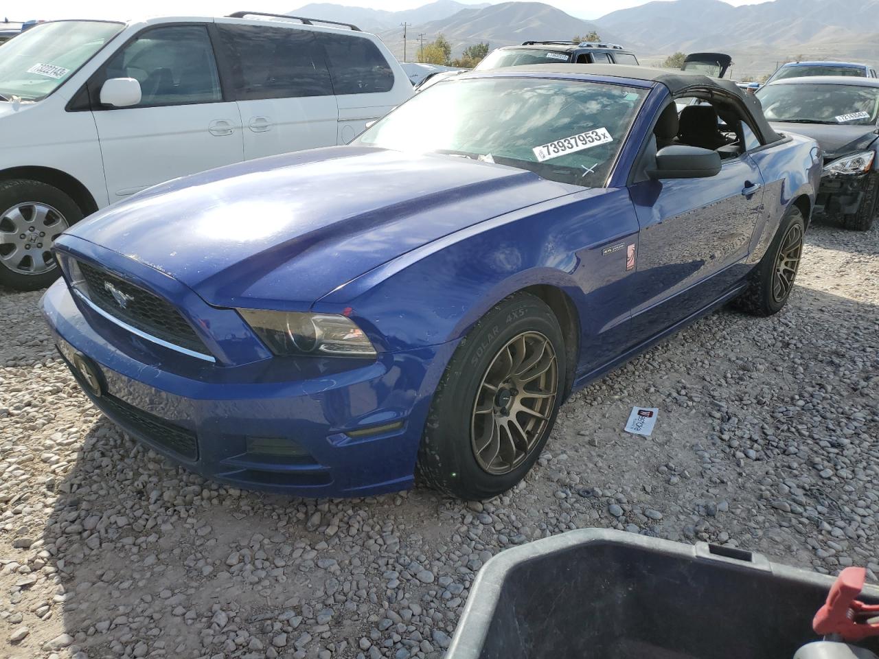 2013 FORD MUSTANG  2013 image