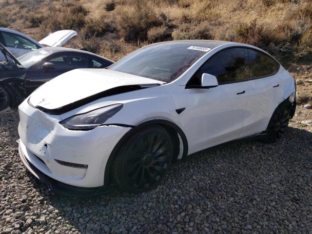 Obraz 2023 TESLA MODEL Y  2023