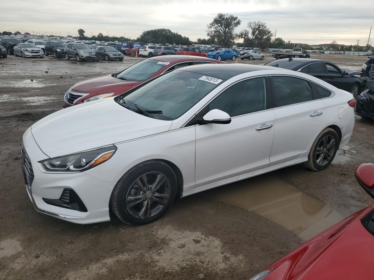Obraz 1 z 2018 HYUNDAI SONATA SPORT 2018 z VIN 5NPE34AF9JH689094