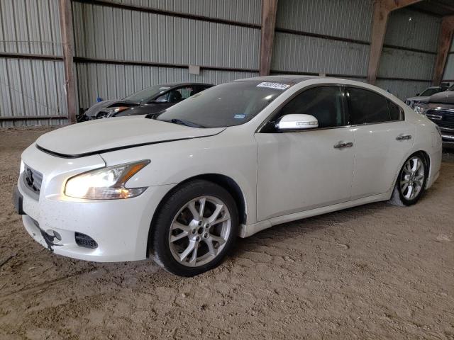 2012 NISSAN MAXIMA S 2012 image