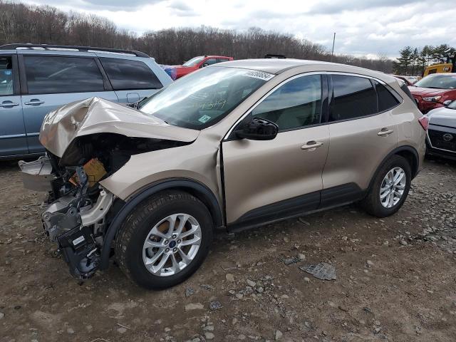 2020 FORD ESCAPE SE 2020 image