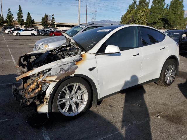 Image 1 of 2022 TESLA MODEL Y  2022 with VIN 7SAYGDEE0NF411887