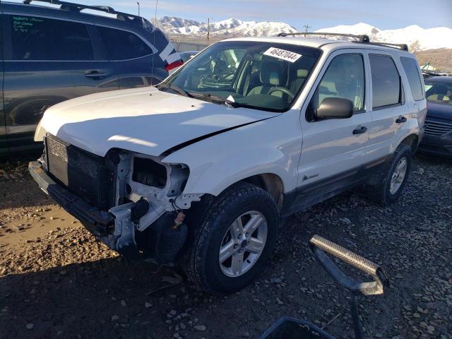 Obraz 2006 FORD ESCAPE HEV 2006