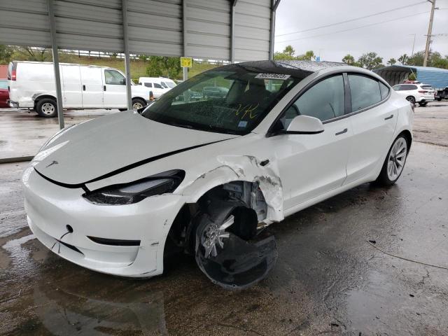 2023 TESLA MODEL 3  2023 image
