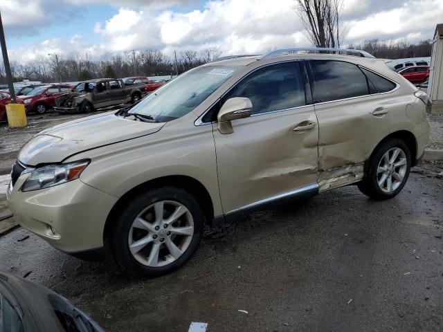 2010 LEXUS RX 350 2010 image