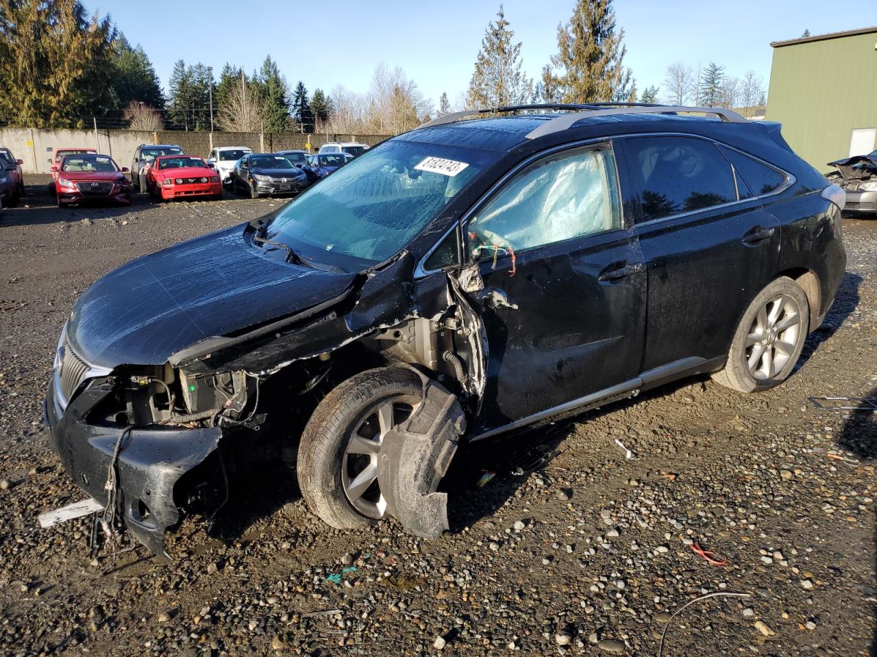 Obraz 2010 LEXUS RX 350 2010