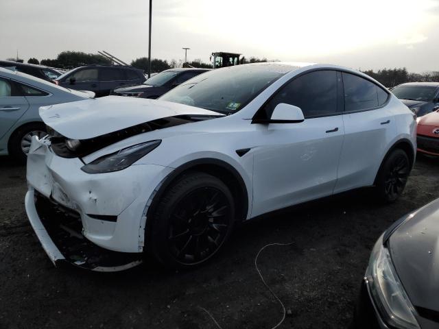 2023 TESLA MODEL Y  2023 image