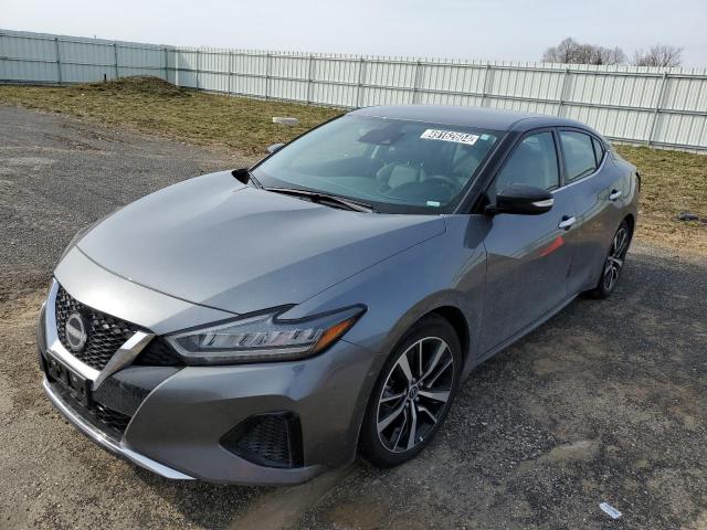Obraz 2023 NISSAN MAXIMA SV 2023