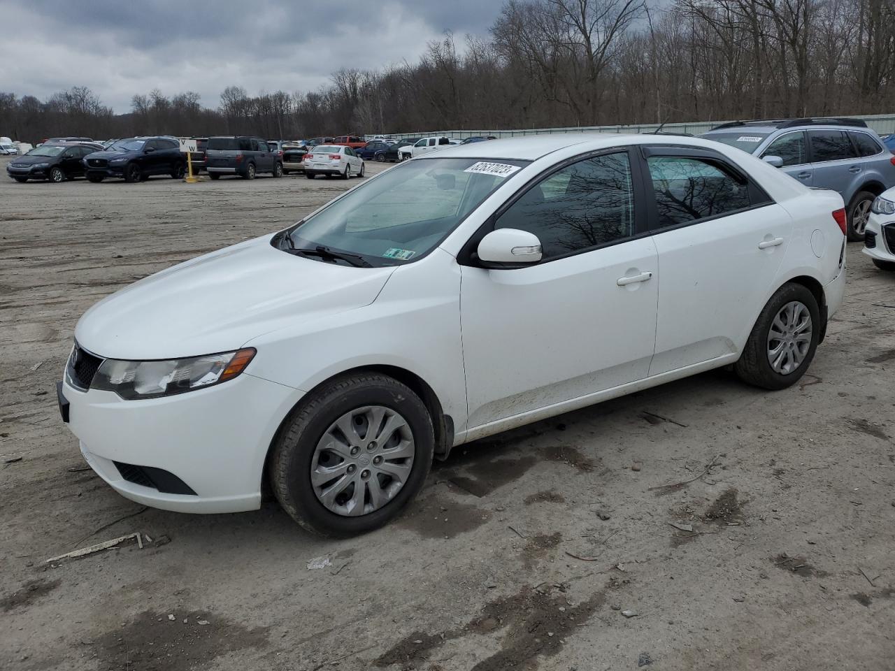 2010 KIA FORTE EX 2010 image