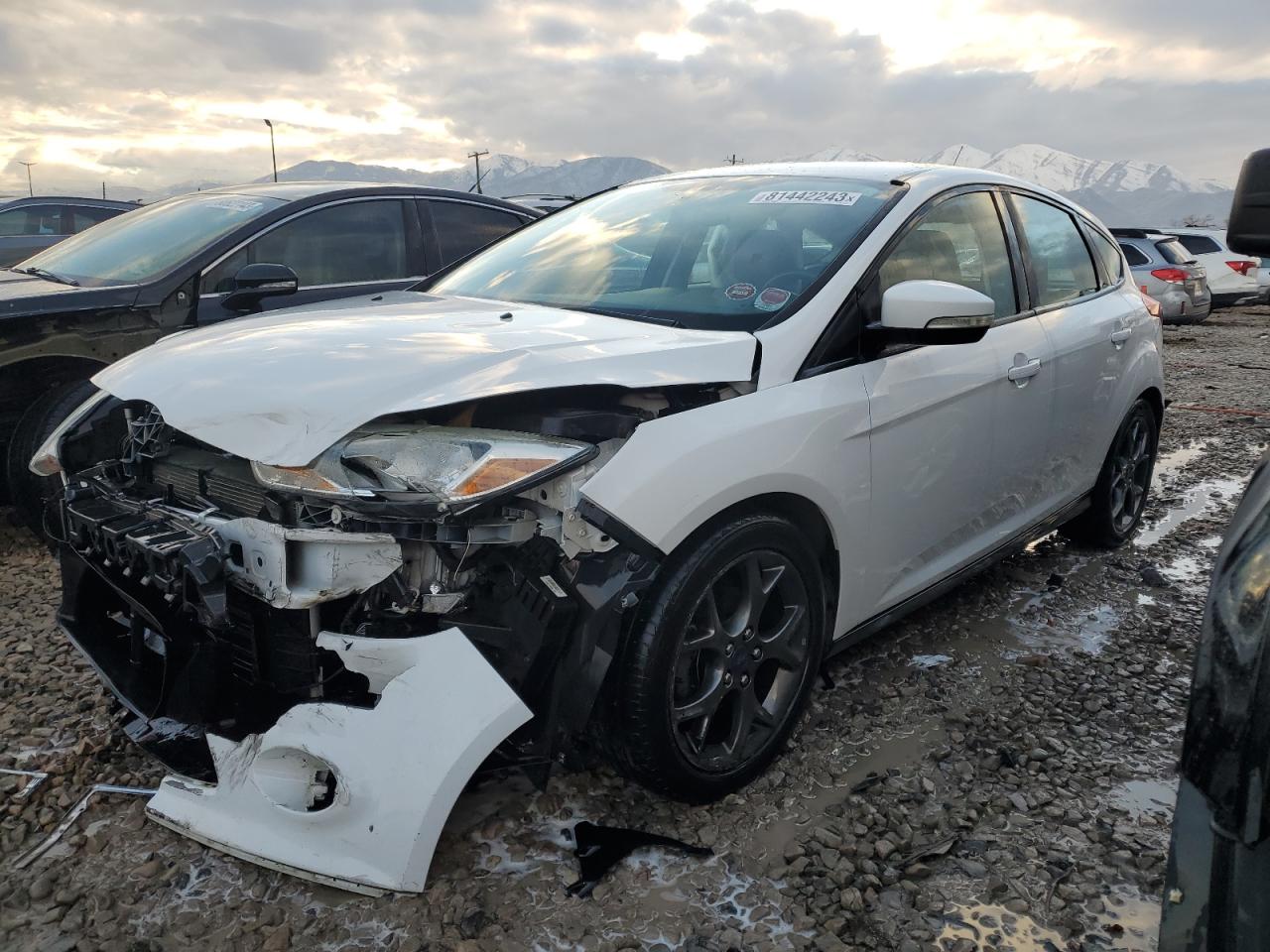 2013 FORD FOCUS SE 2013 image