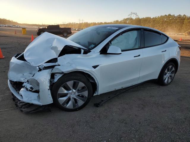 Obraz 2023 TESLA MODEL Y  2023